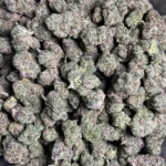 sugar-cane-bulk-flower-1