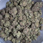 legend-orange-apricot-1